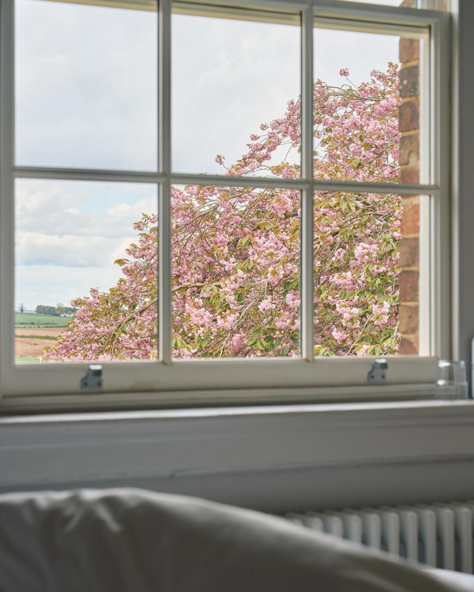 Constantine House Hotell Tamworth Exteriör bild